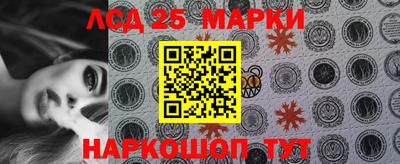 шишки Можга