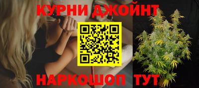 шишки Можга