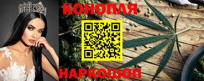 шишки Можайск