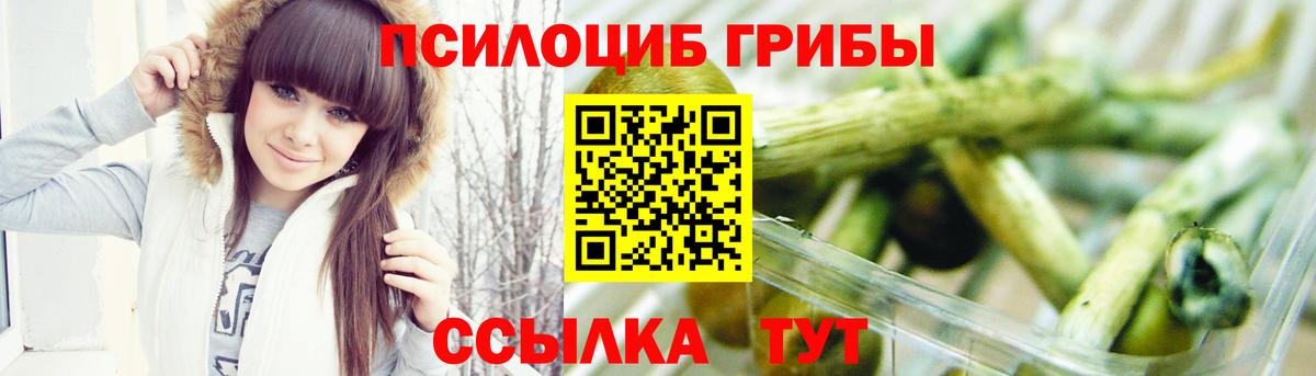 Галлюциногенные грибы Psilocybine cubensis Воронеж