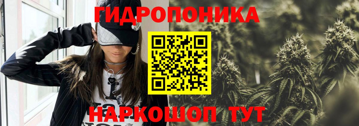 Шишки марихуана марихуана  Вход с VPN  Воронеж  Бошки марихуана гибрид  Бошки марихуана марихуана  Бошки марихуана индика 